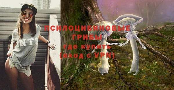 кокаин Белокуриха